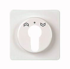 Foto: Zentralplatte für Schlüsselschalter Fashion IP44, reinweiß (c) Schrack