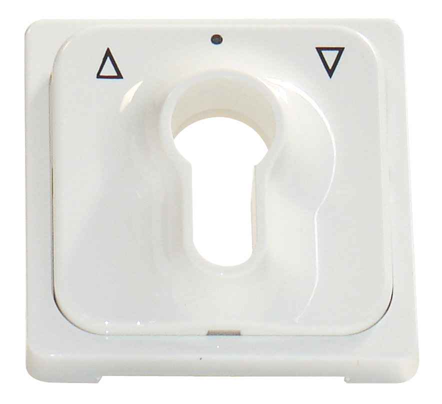 Foto: Zentralplatte für Schlüsselschalter, reinweiß (c) Schrack